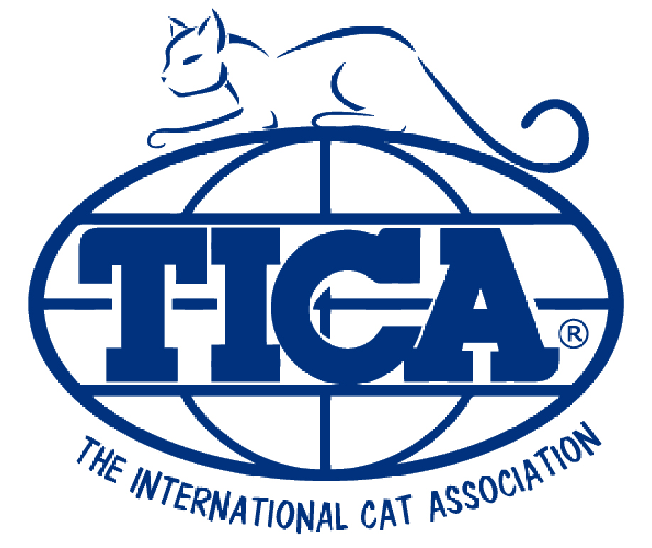 tica.jpg